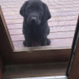 Meet your Posher, Leanne